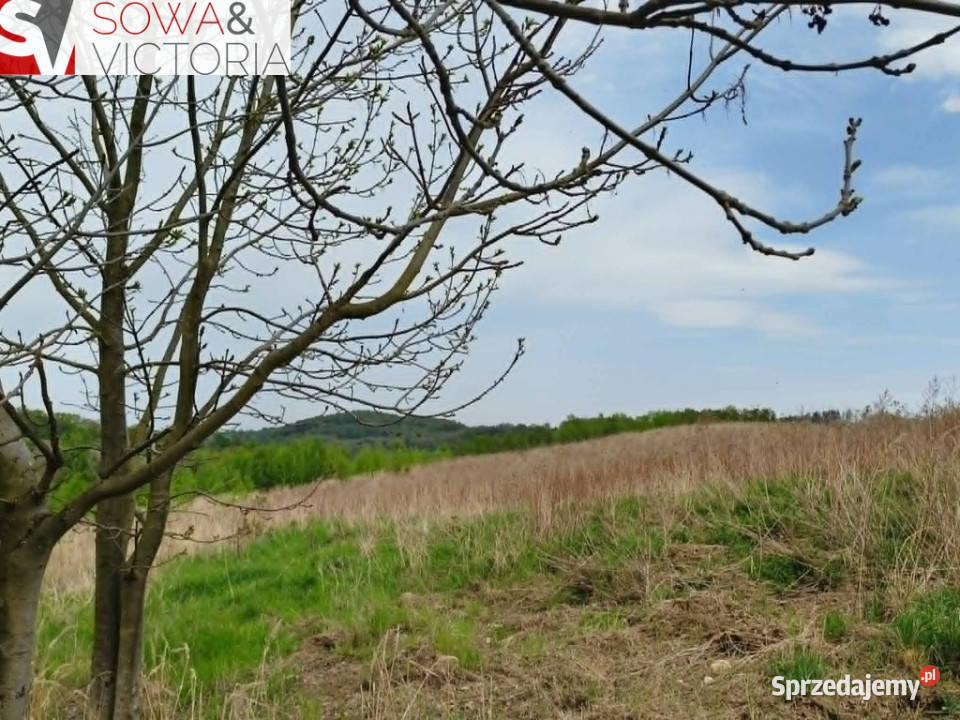 Skrajna działka pod lasem