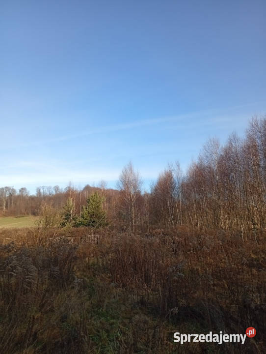 Sprzedam działkę budowlaną Ludwinów