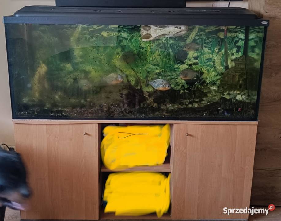 Akwarium 450l z osprzętem szafka Niepołomice