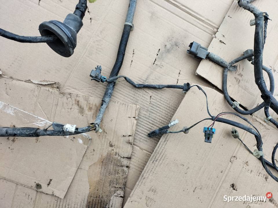 OPEL AGILA A 10 TERMOMETR WIĄZKA INSTALACJA Kamień-Kolonia