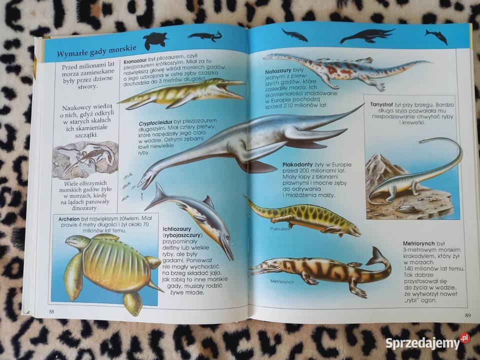Encyklopedia ilustrowana dzieci Kraków