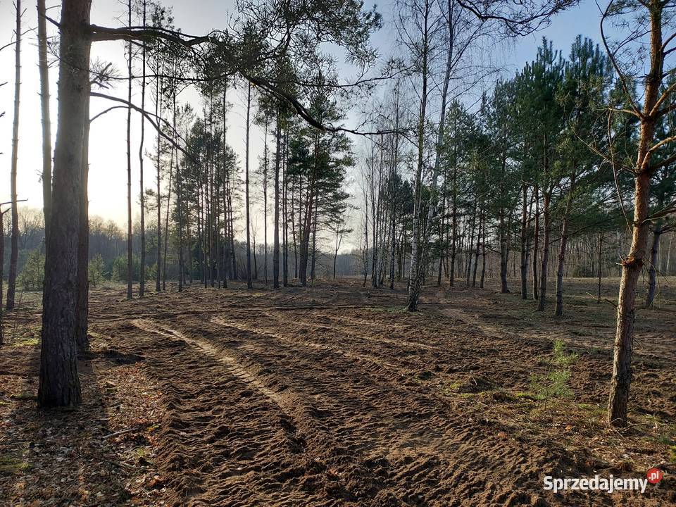 Rogóźno 1261m2 piękna działka rzeki i lasu