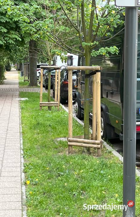 Paliki sosnowe impregnowane Palisada Kołki Bydgoszcz