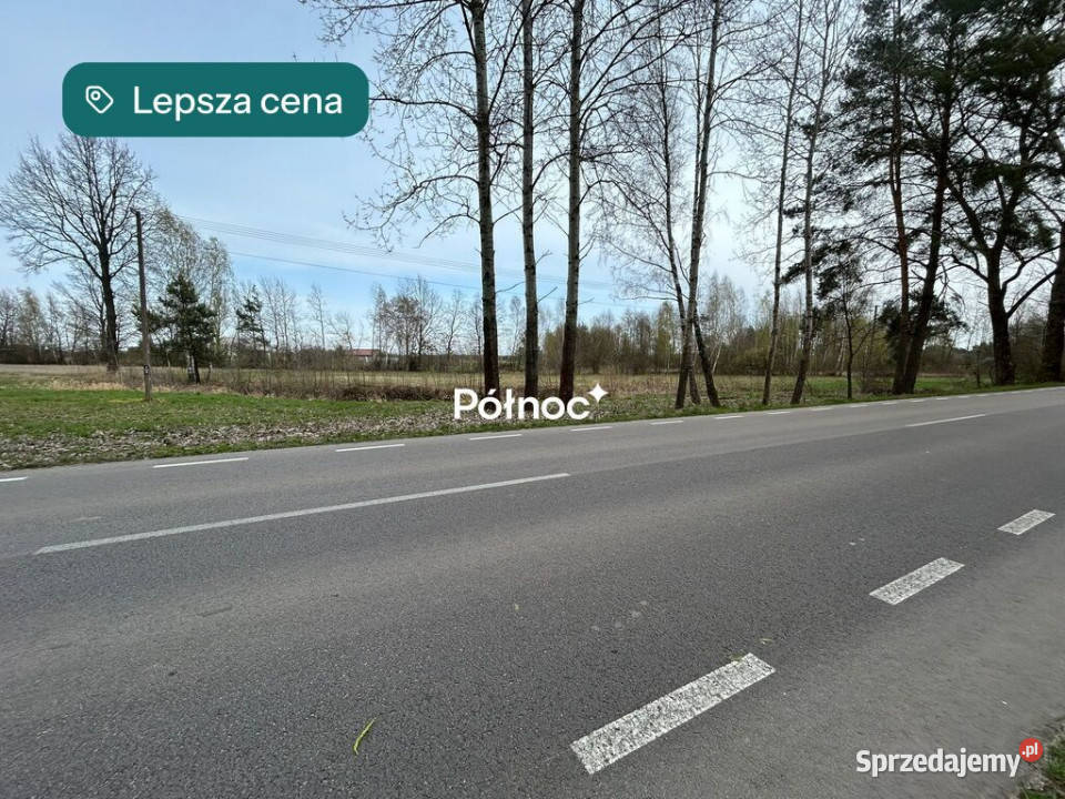 Działka ze stawem 2412 m Aleksandrów asfalt