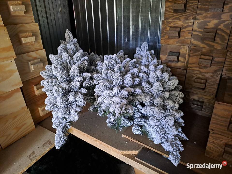 Świąteczne śnieżone stroiki Sierpc