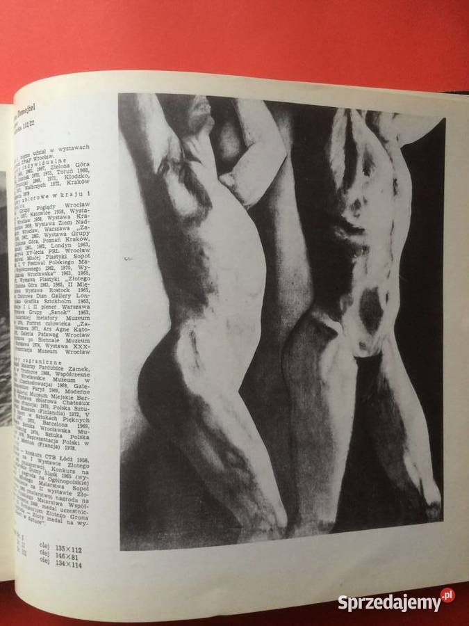 2363 10 Festiwal Polskiego Malarstwa zachodniopomorskie Szczecin sprzedam