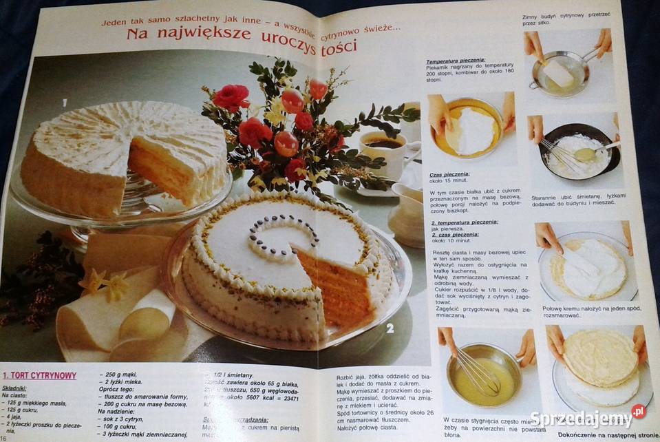 Cisat domowe mojej kuchni 381994 Kinga Chełm