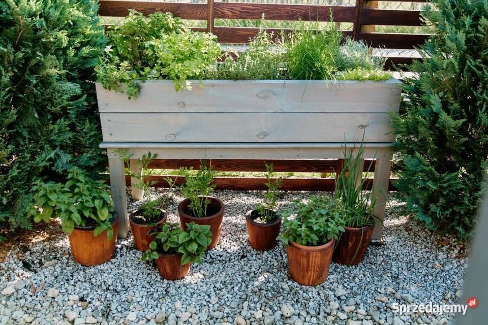 Zielnik drewniany na nogach warzywnik skrzynia Kalety