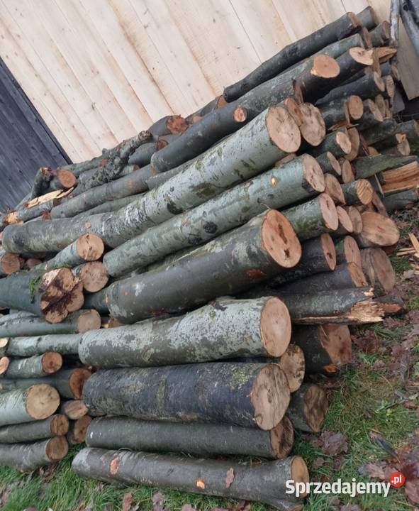 Drewno kominkowe opałowe buk pocięte i porąbane Opał świętokrzyskie Kielce