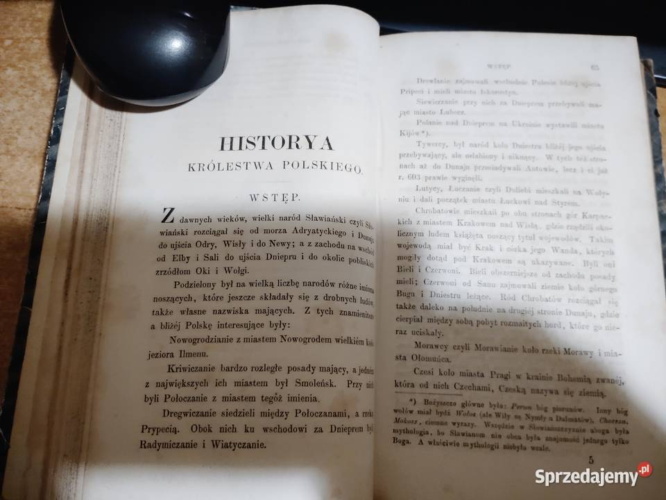 Historya Książąt i Królów PolskichWyciąg z
