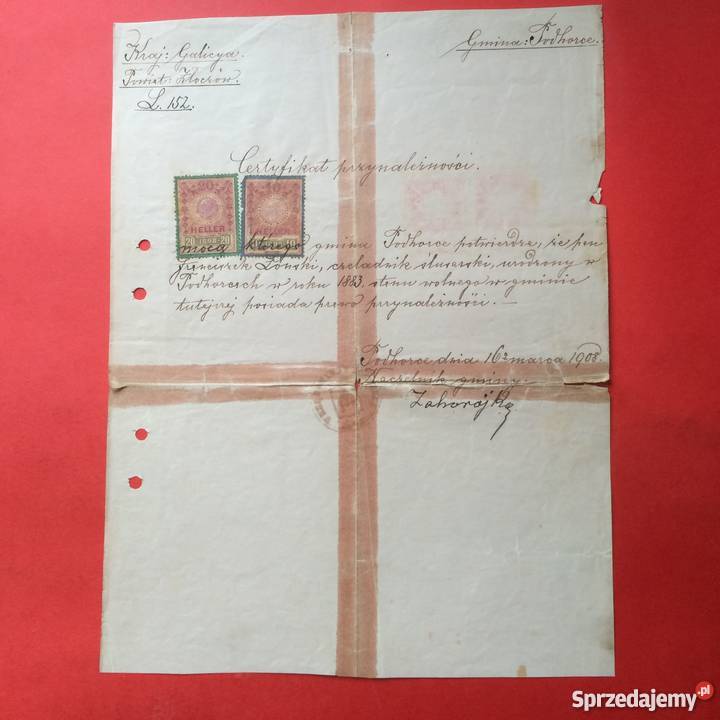 765 Certyfikat Przynależności Łoński Szczecin