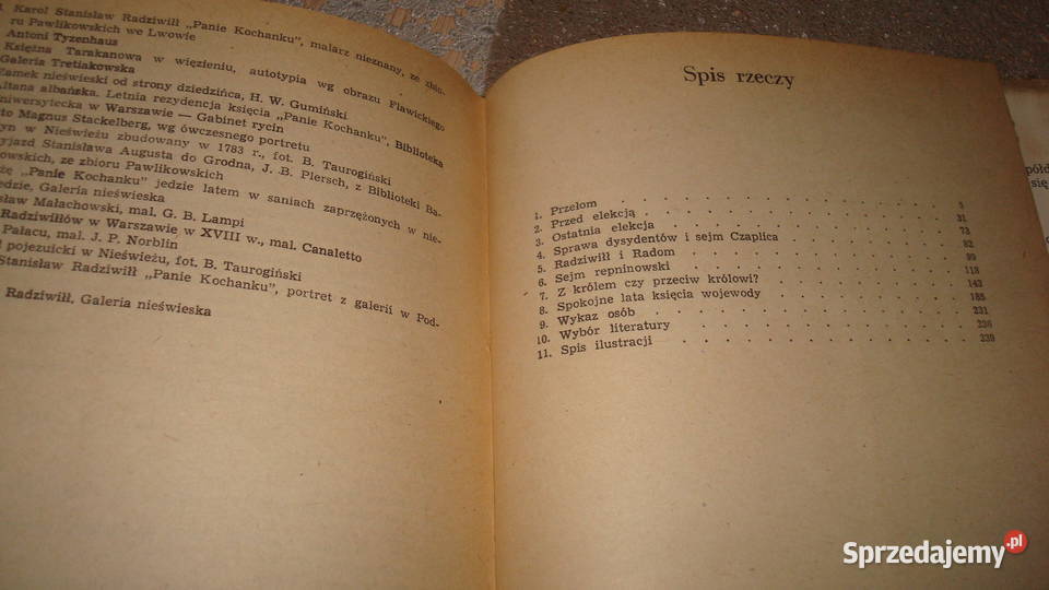 Radziwiłłowsku Borucki jsa historia, archeologia Książki naukowe i popularnonaukowe Kruszwica sprzedam