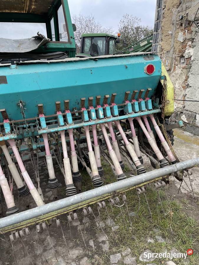 Siewnik Poznaniak dolnośląskie Oława