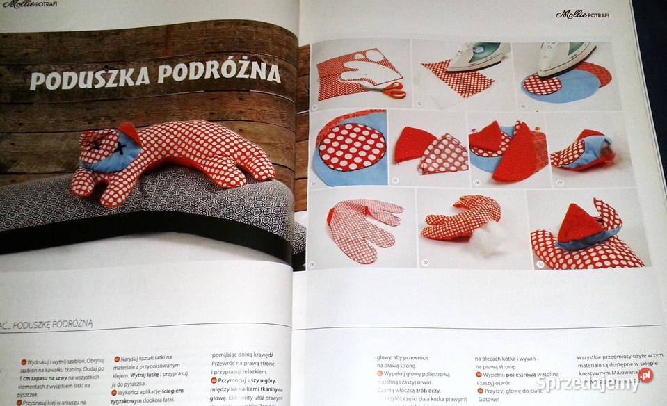 Mollie potrafi 3 9 2015 Chełm