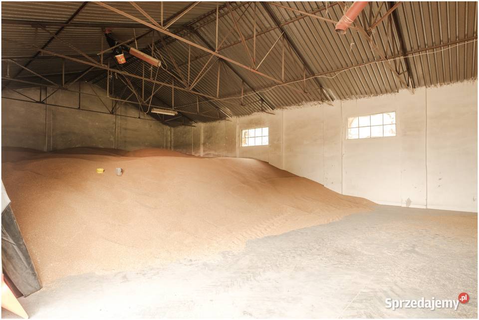 Magazyn grunt 23 ar idealny pod biznes Wilków sprzedam
