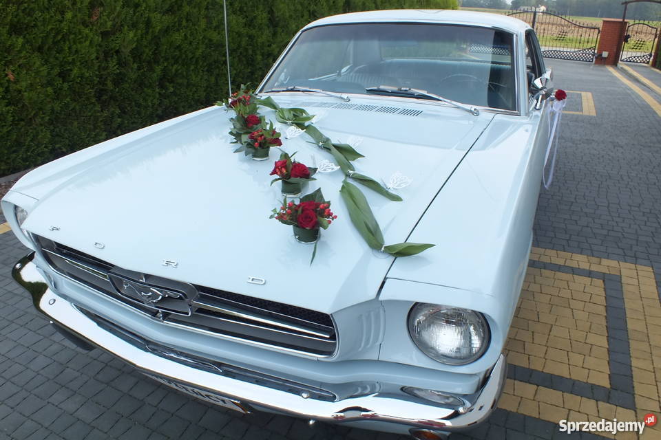Auto Do Ślubu Wesele Ford Mustang ŚLĄSK Golasowice