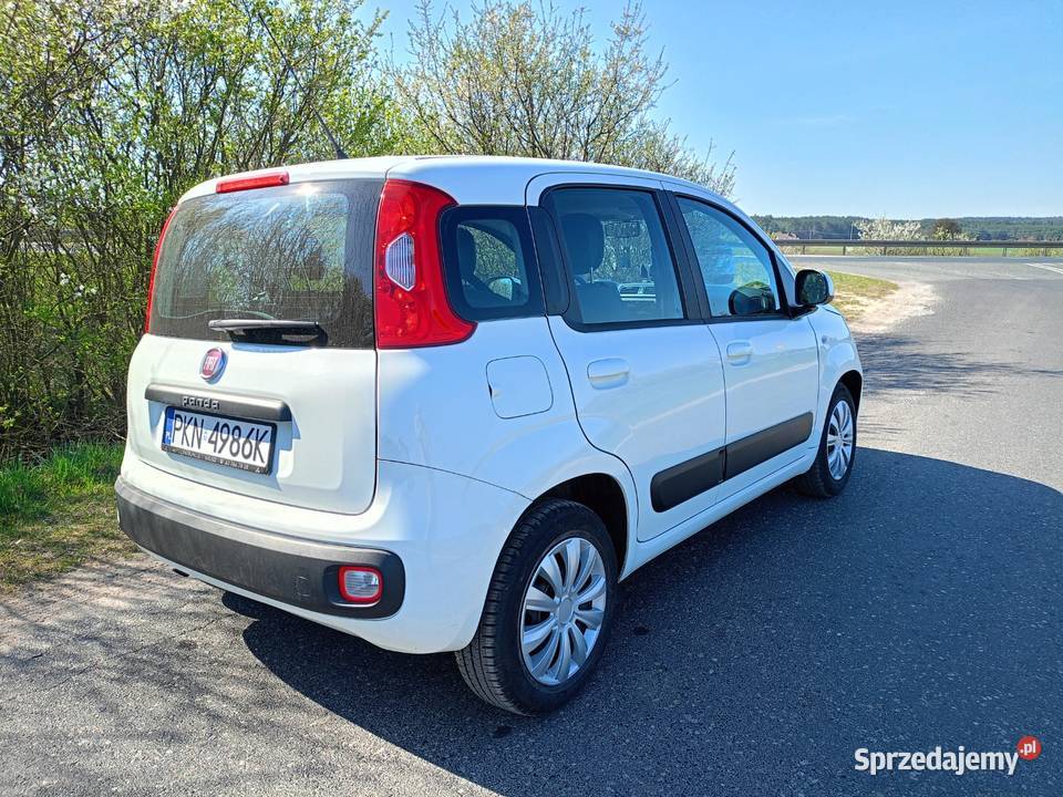 FIAT PANDA Głodno