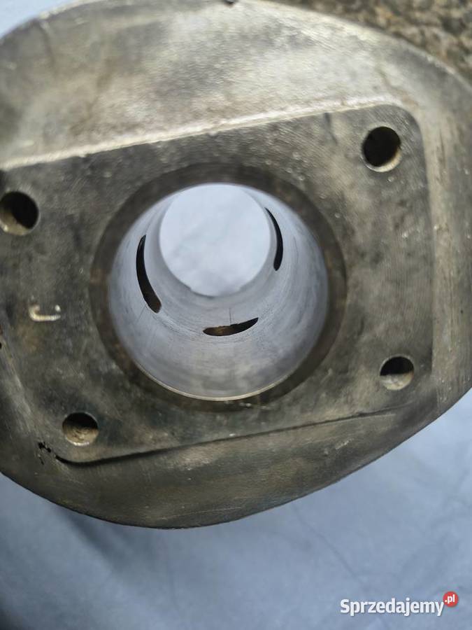 Cylinder komar sztywniak żak podkarpackie Rzeszów