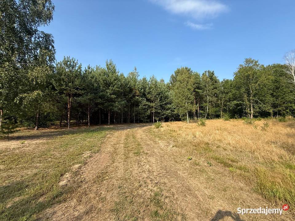 Działka z dostępem do jeziora Sumino Gorzewo