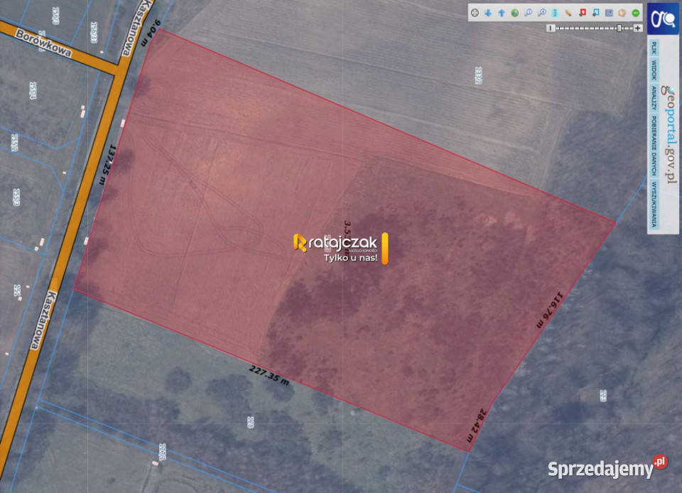 Ziemia Mierzyno 35400m2 prąd sprzedam