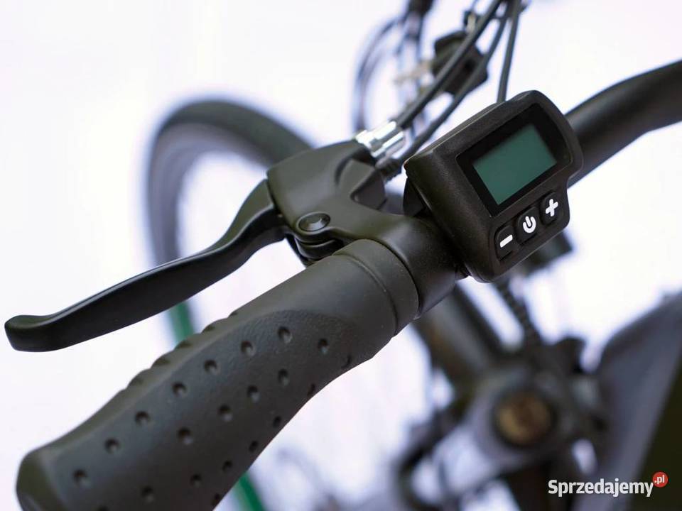 Rower elektryczny holender miejski DocGreen 250W wielkopolskie Poznań