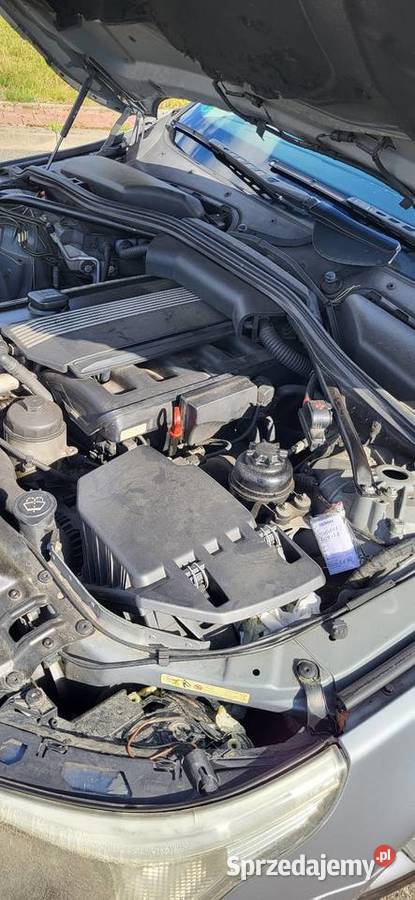 Bmw e60 4/5 Pruska Łąka sprzedam