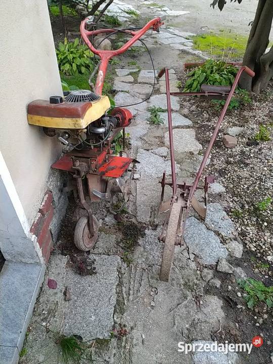 Glebogryzarka spalinowa Strzegom