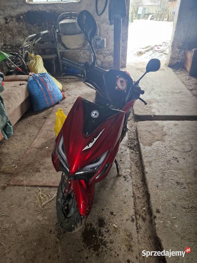 Barton flash 50 zachodniopomorskie Gryfice