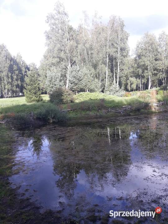 dom do sprzedania opolskie