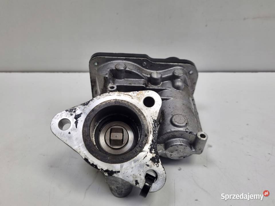 Renault Megane III 16 DCI ZAWÓR EGR spalin osobowe Recyrkulacja spalin EGR Rudka