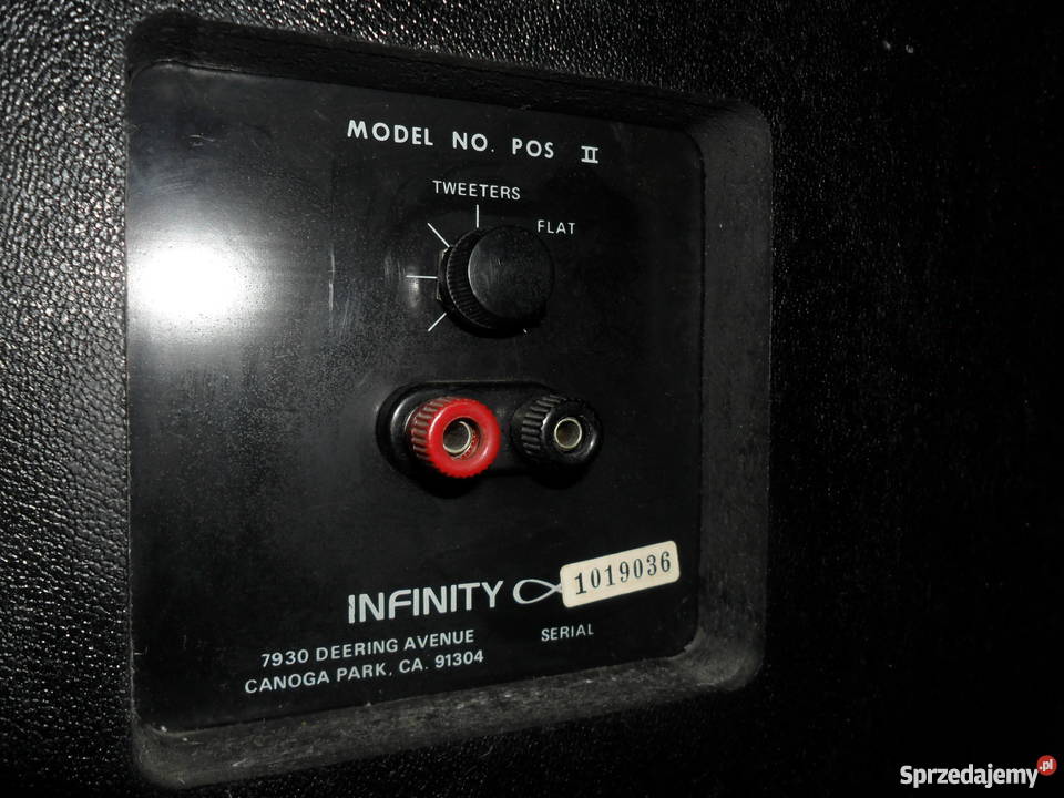 Infinity POS II Tychy sprzedam