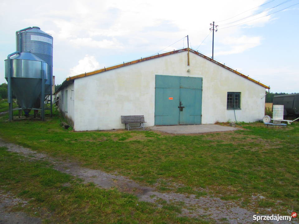 FERMA DROBIU Z DOMEM MIESZKALNYM Drób i ptactwo Łubno sprzedam