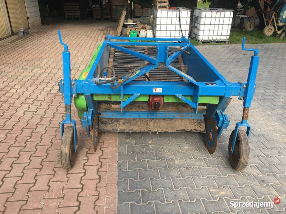 Krukowiak Kopaczka do cebuli mazowieckie Maciejowice