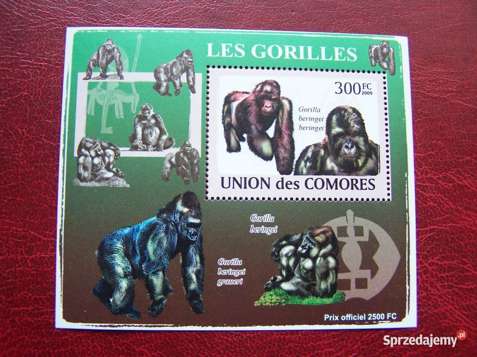 Komory 2009 MNH Fauna Goryle Nakład 2500