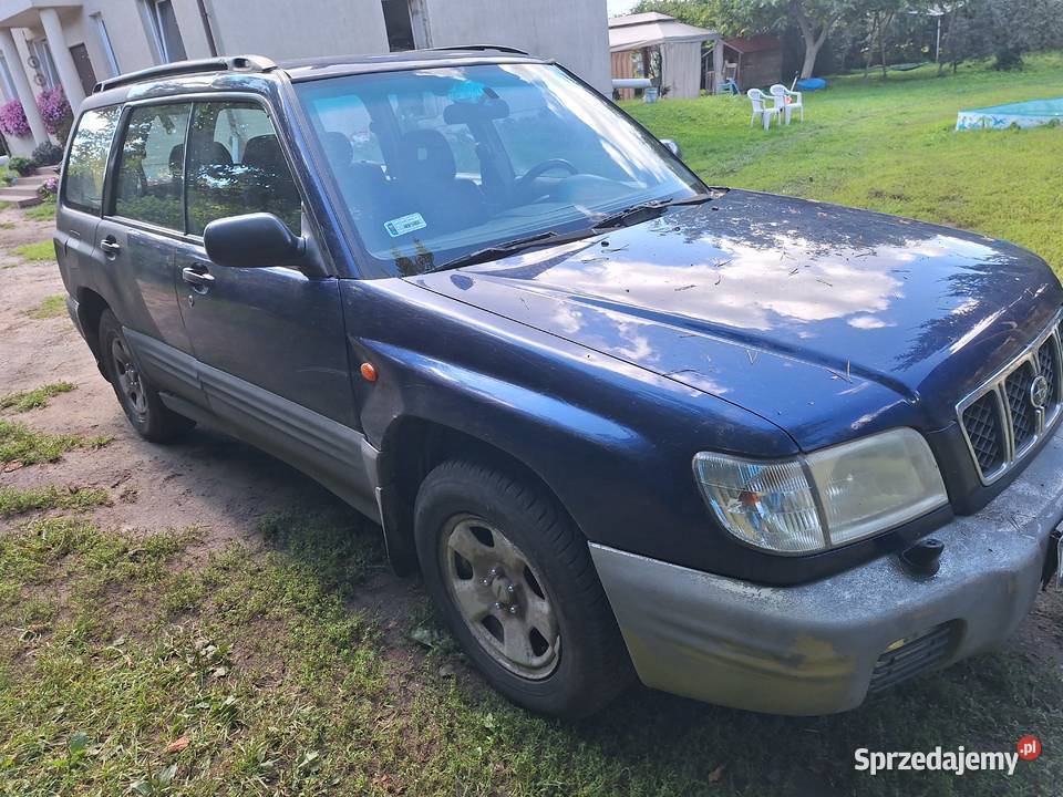 Subaru forester pomorskie Ryjewo
