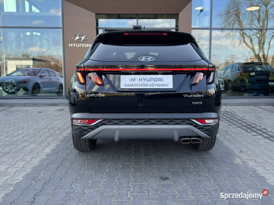 Hyundai Tucson 16 HEV 2WD 230 6AT Platinum Salon Piotrków Trybunalski