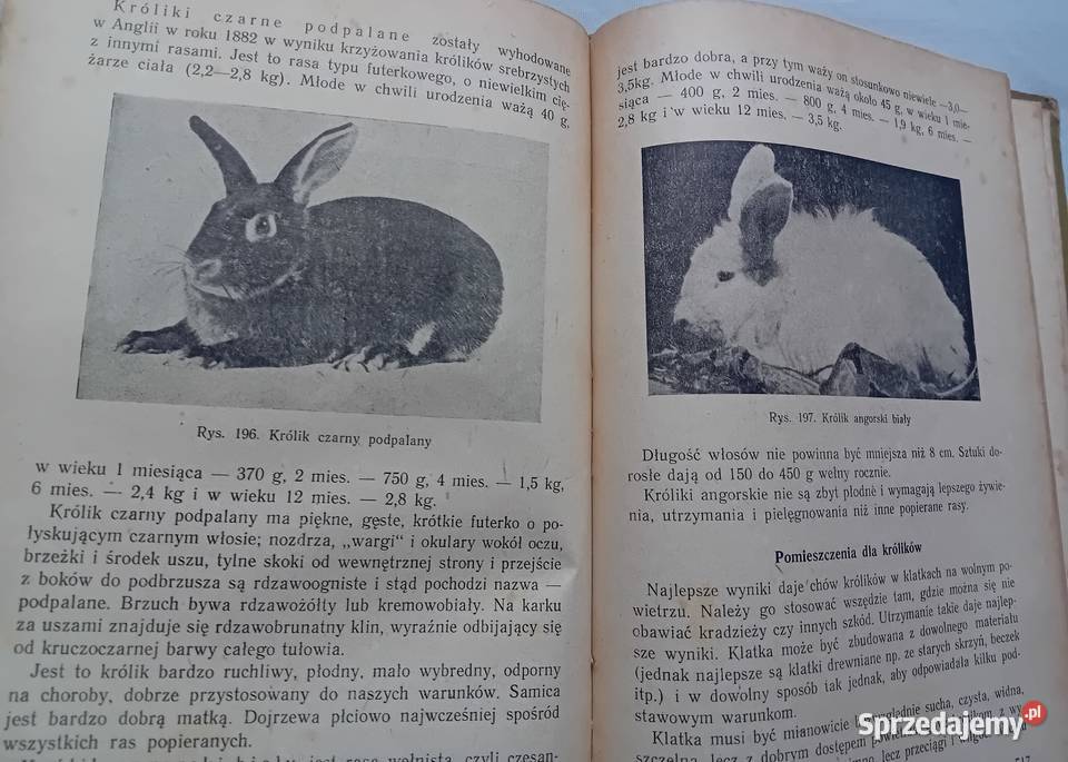 Przewodnik działkowca PWRiL 1954 r Wydanie I Antykwariat