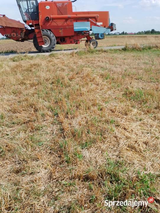 Kombajn bizon ZO 56 Mielec