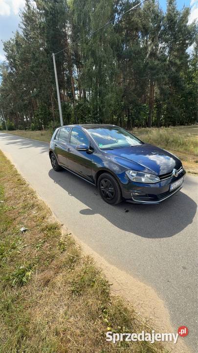 Volkswagen Golf 7 nieuszkodzony