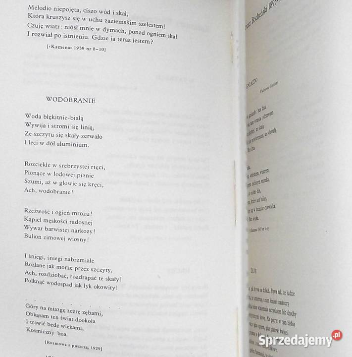 L Strofy o górach Antologia Kolbuszewski