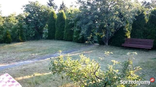 Dzialka ROD Hutnik Grunty i działki Częstochowa