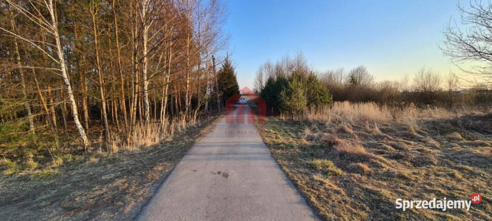 Grunt Dąbrowica 15000m2