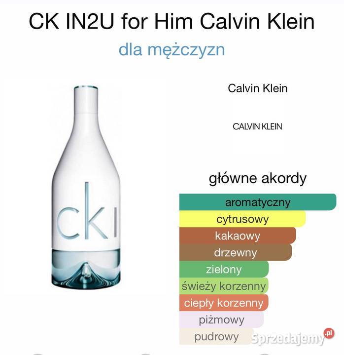 Calvin Klein In2U Men odlewka Lubartów