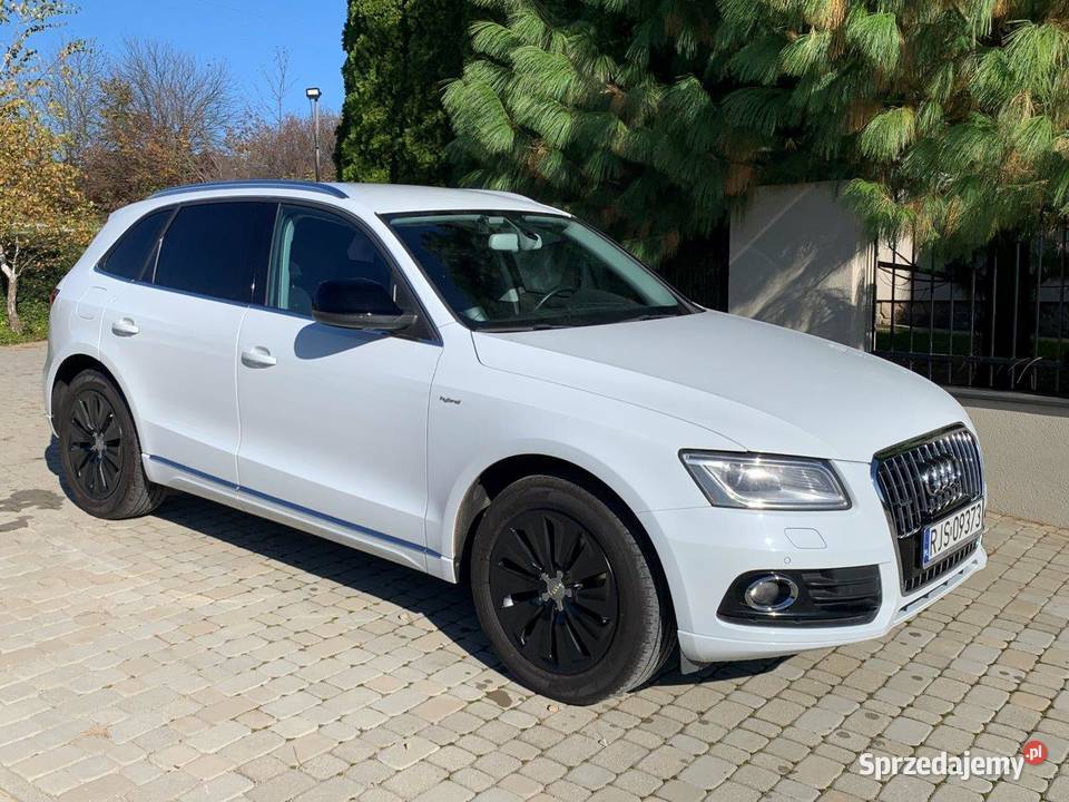 Audi Q5 Quattro Hybryd Motoryzacja Jasło