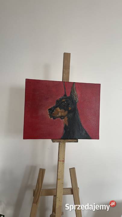 Obraz olejny Doberman 30x40 ręcznie malowany Świebodzin