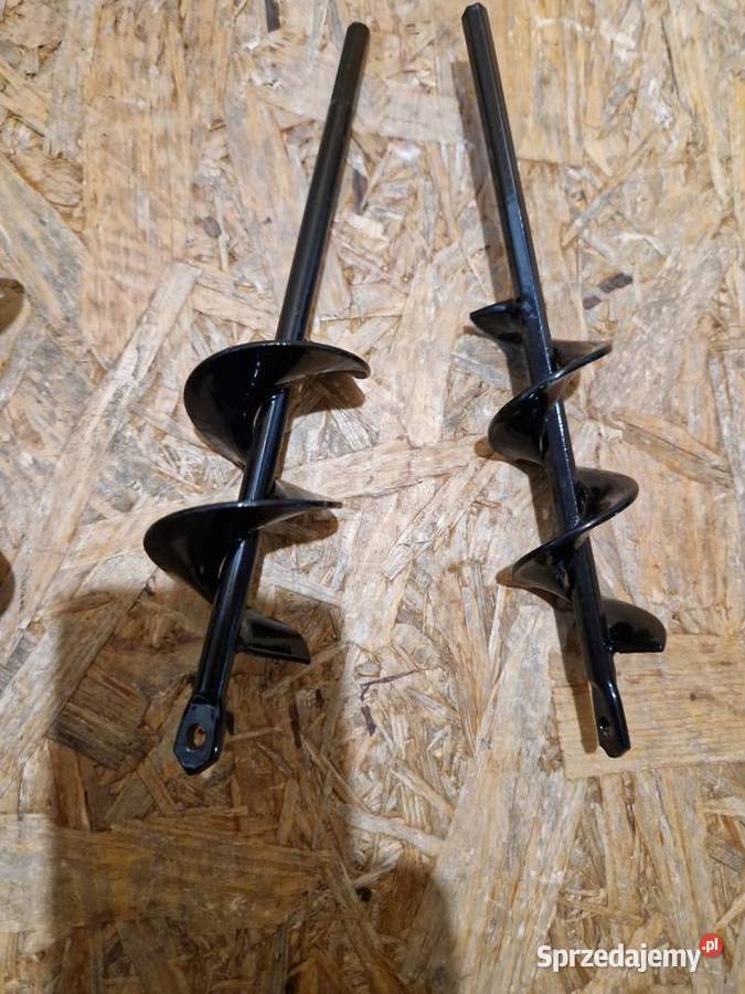 ŚWIDER OGRODOWY WIERTNICA GLEBOWA WIERTŁO ZIEMI Głogowa
