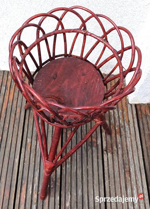 kwietnik wiklinowy Kraków