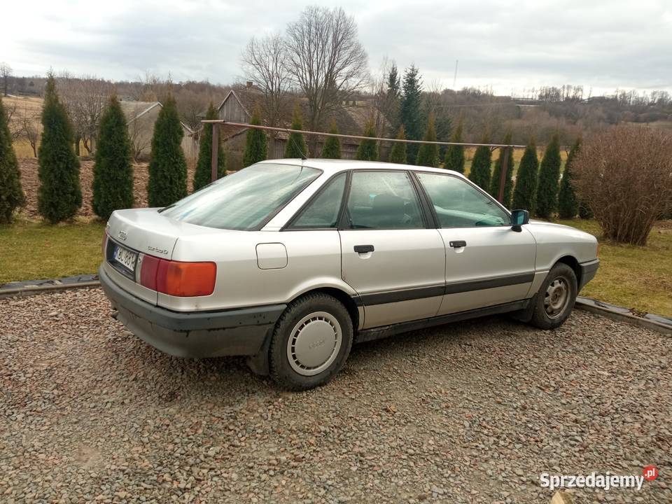 Audi Trzciana