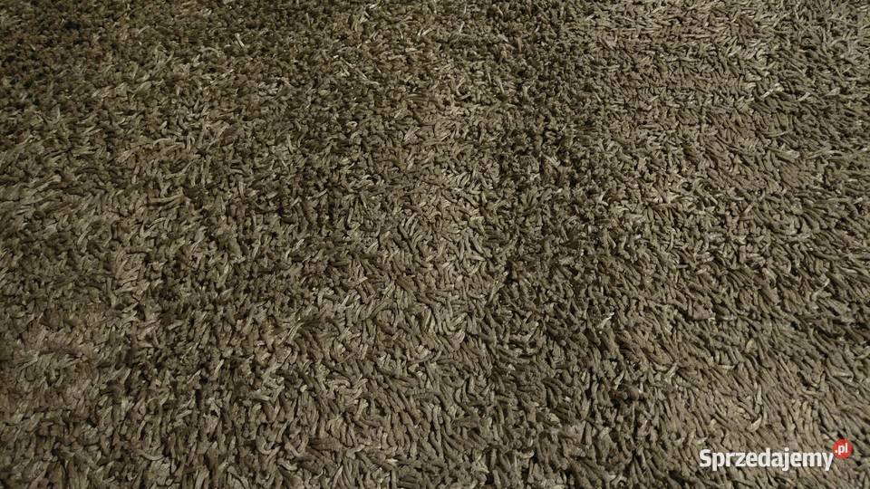 Dywan 220160 zieleń 160m