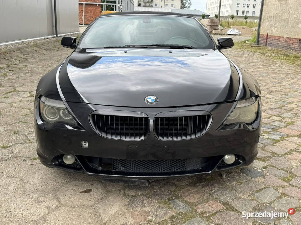 BMW 645 Bmw 645 Cabrio 44 v8 325 Automat Motoryzacja Koszalin